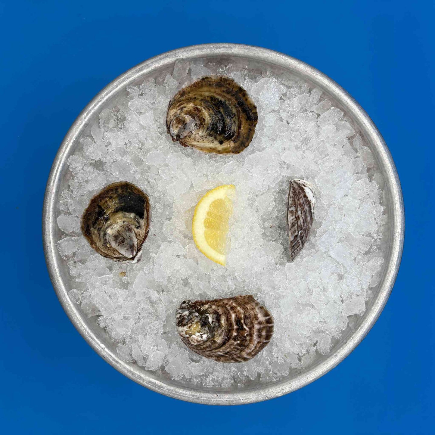 Sea-Kist Oysters