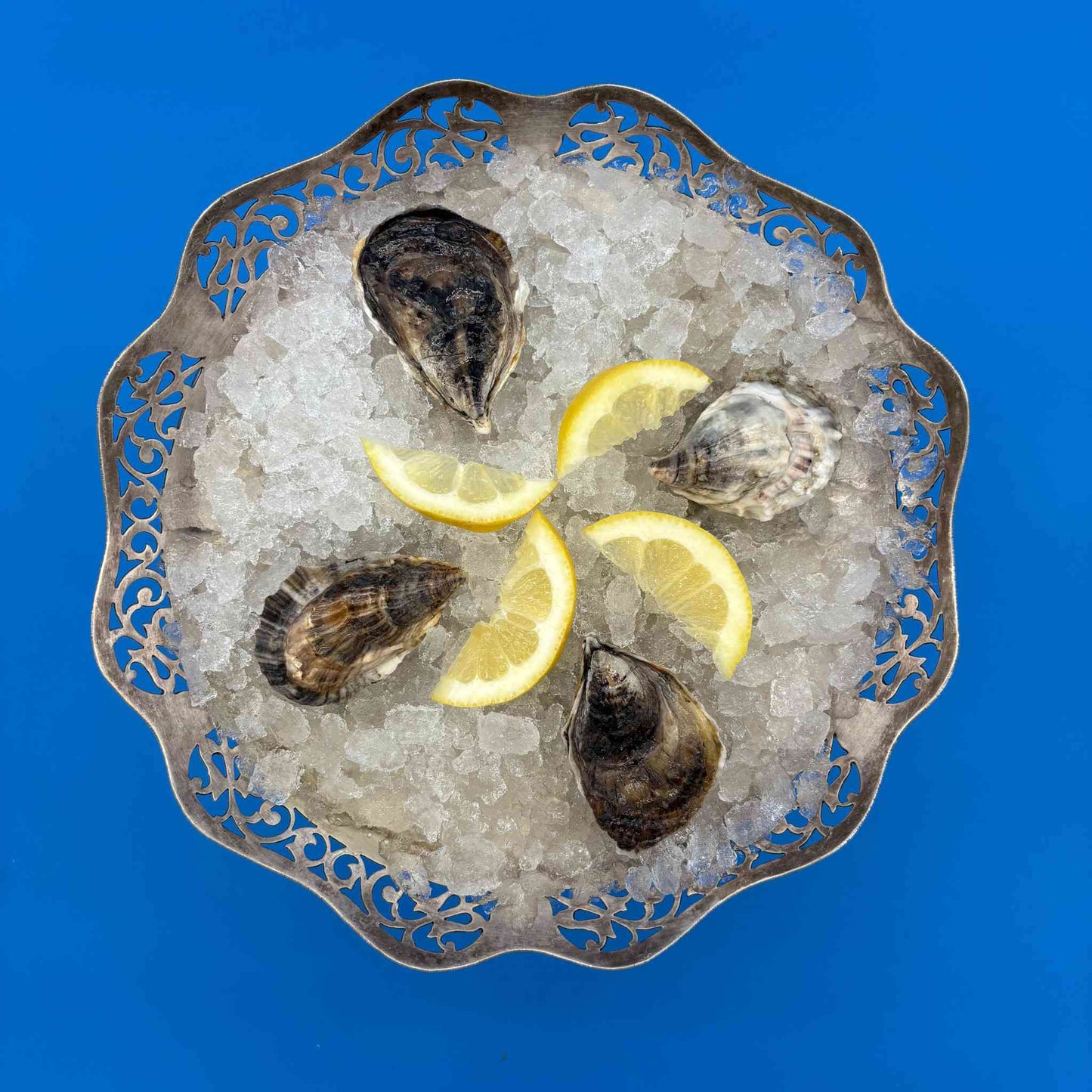 Moonstone Oysters