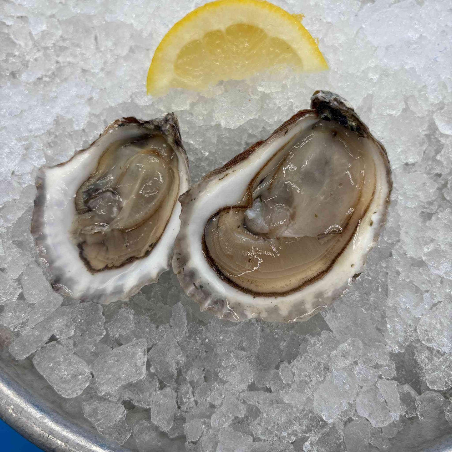 Sea-Kist Oysters