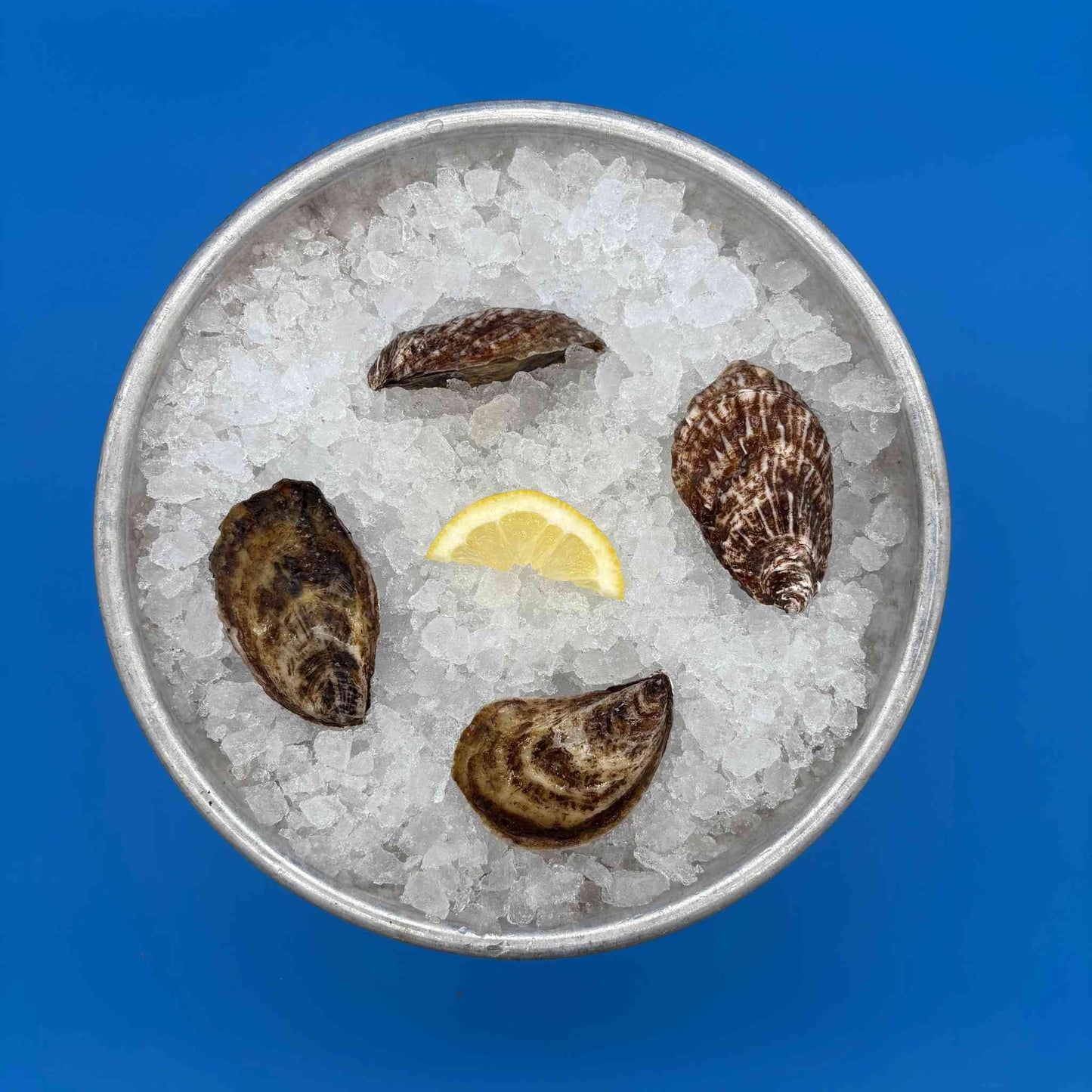 Rome Point Oysters