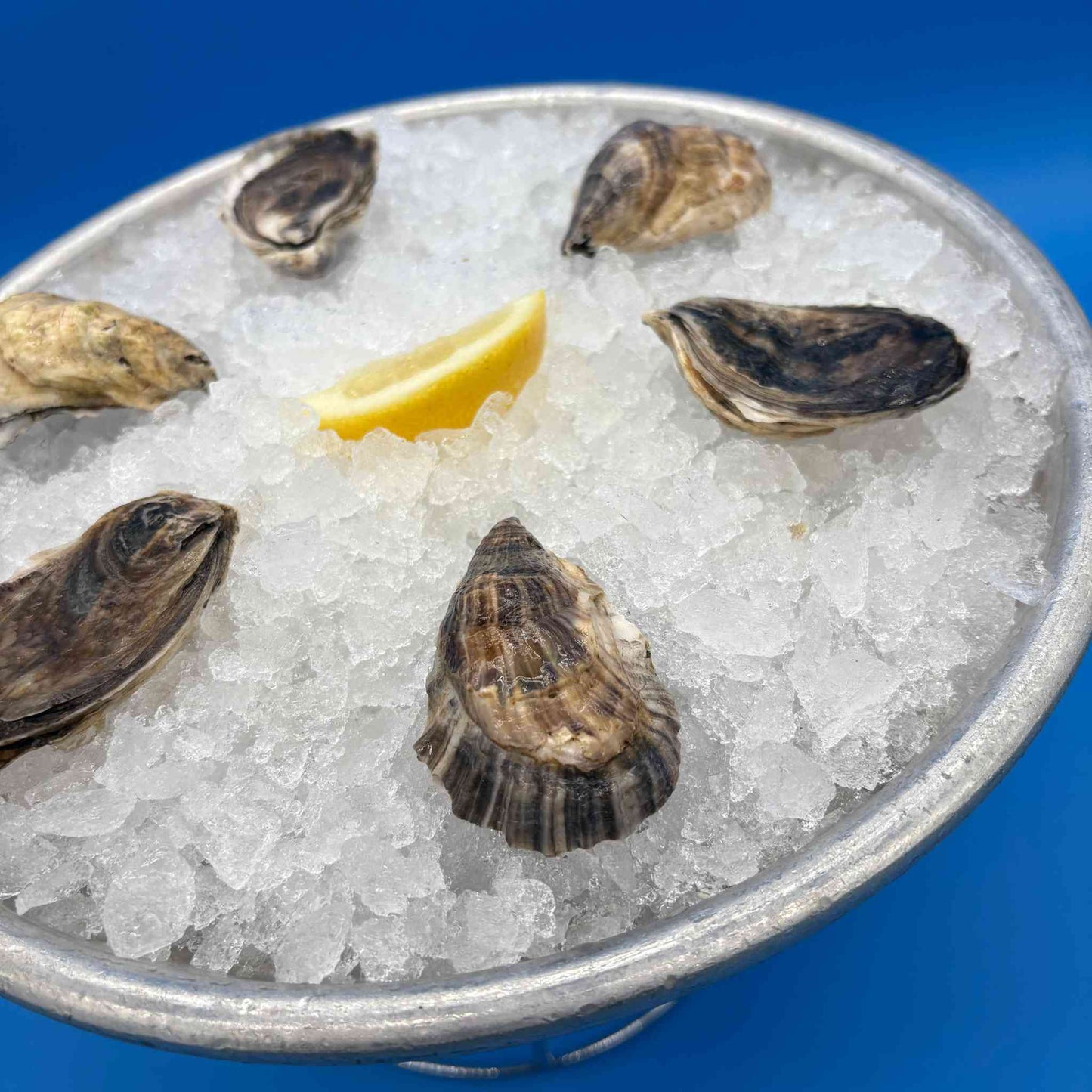 Moonstone Oysters