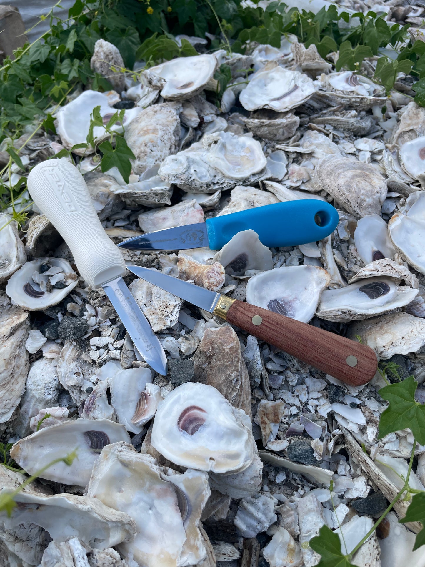 Dexter Providence style (S126) Oyster knife