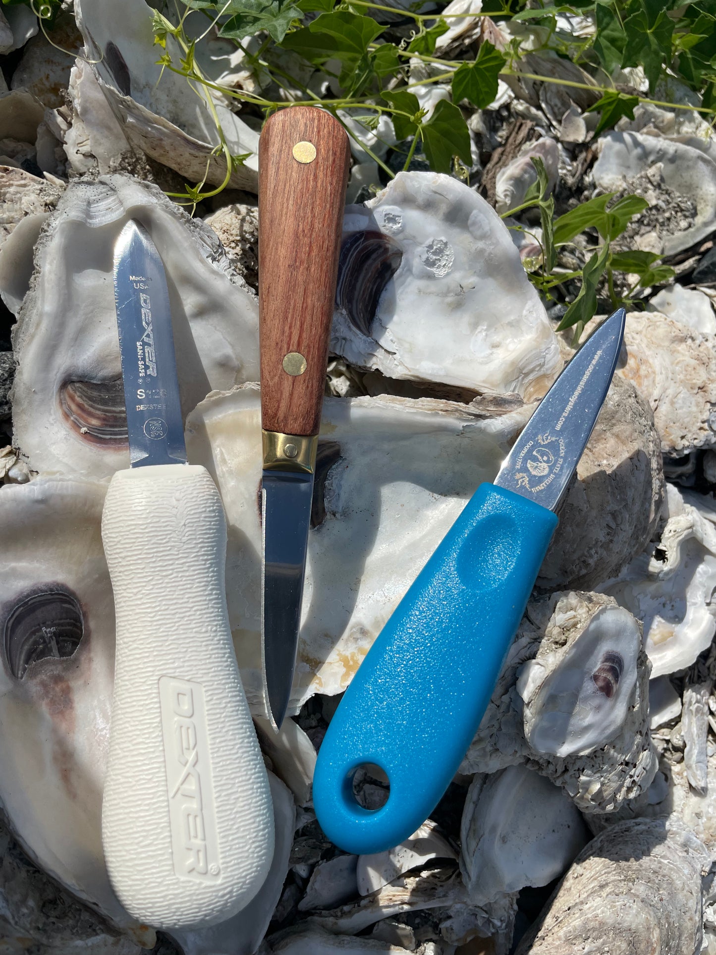 Dexter Providence style (S126) Oyster knife