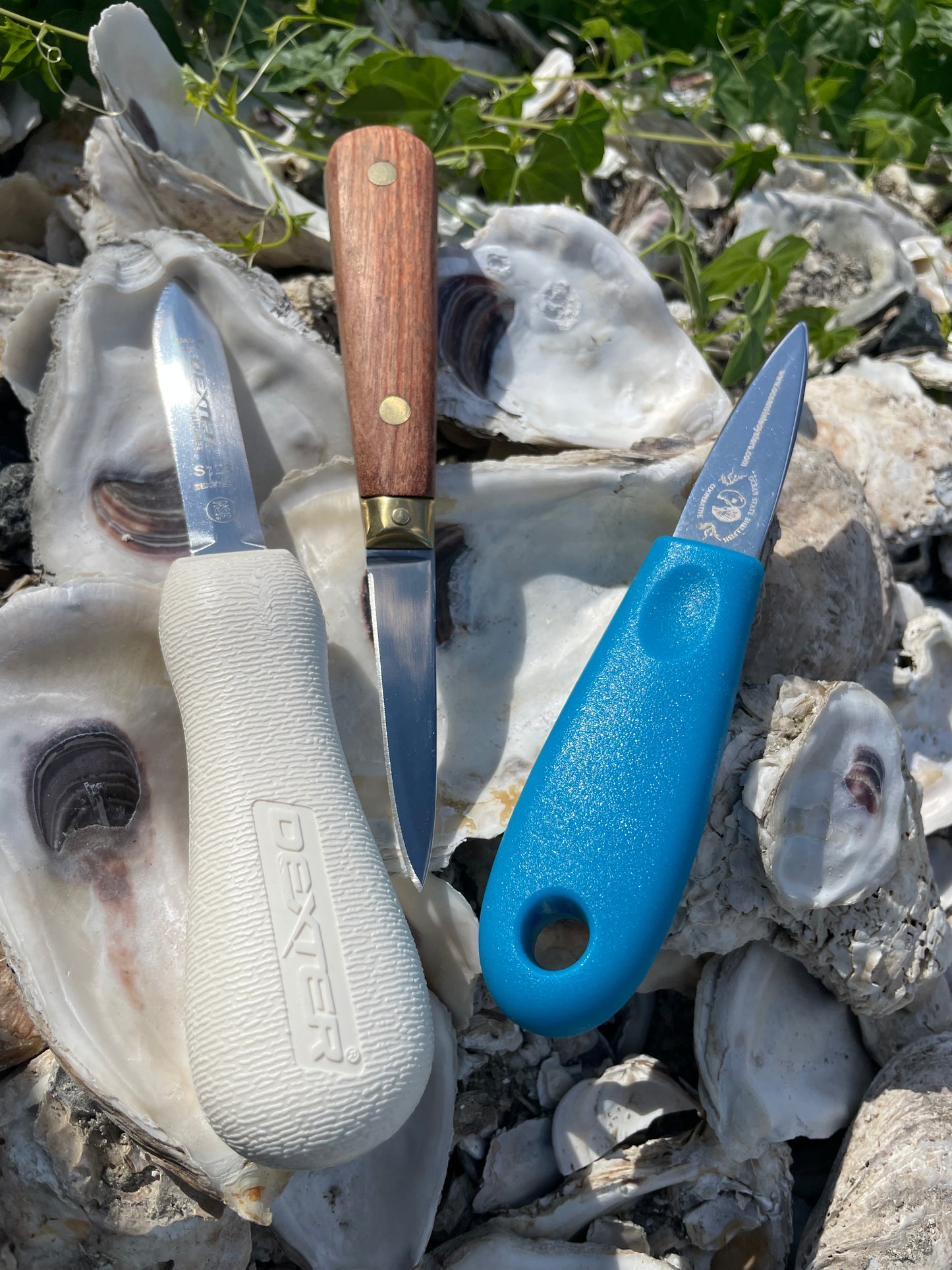 Wood Handled “Fancy” Oyster knife
