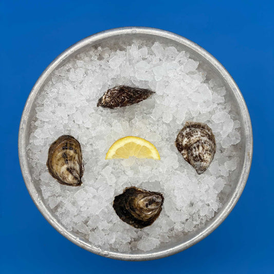 Wild Goose Oysters