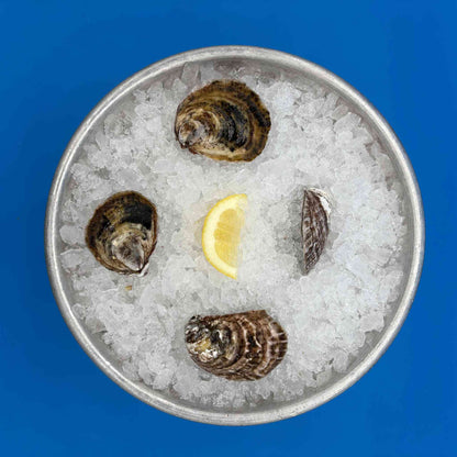Sea-Kist Oysters