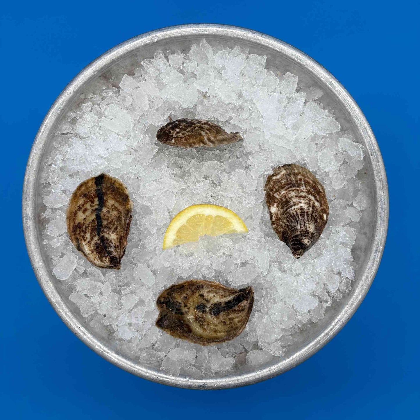 East Beach Blonde Oysters