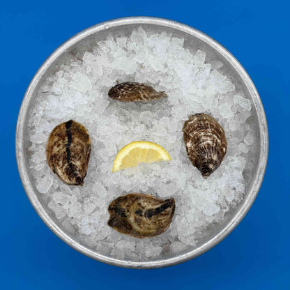 East Beach Blonde Oysters