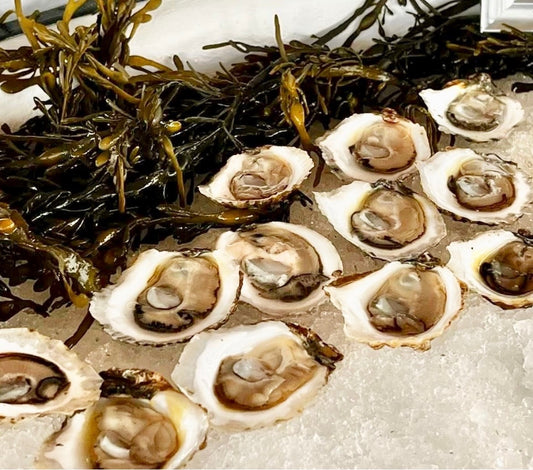 Plum Point Oysters