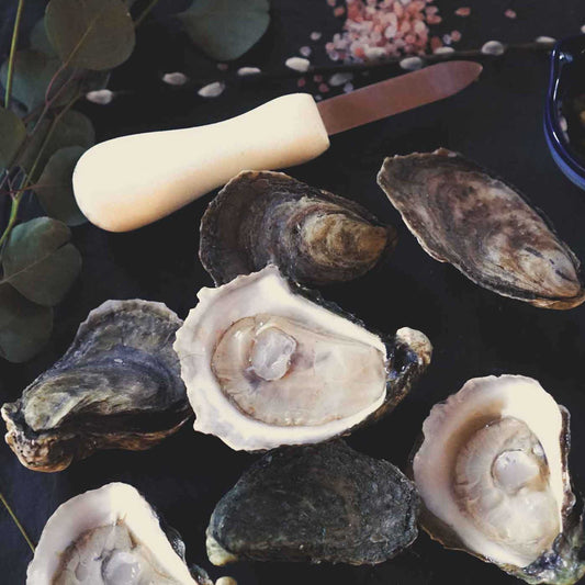 Dexter Providence style (S126) Oyster knife