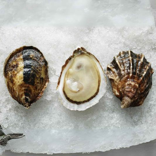 West Passage Oysters